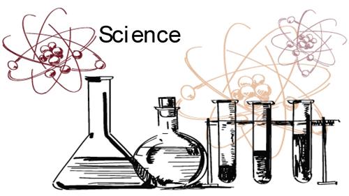 Slide 6 